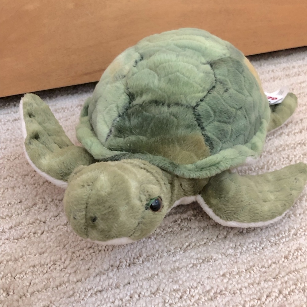 Webkinz Turtle